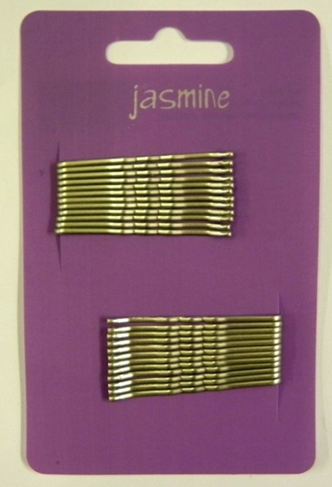 Picture of £1.00 JASMINE HAIR GRIPS 24 GREY