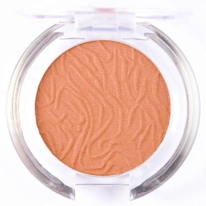 Picture of £2.49 LAVAL BLUSHERS CHINCILLA 107
