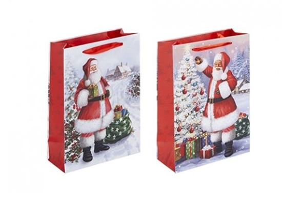 Picture of £0.79 GIFT BAG SMALL SANTA (12) 504025S