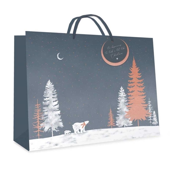Picture of £0.79 GIFT BAGS MED. POLAR BEAR(12) 2739