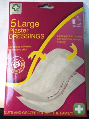 Picture of £1.79 LGE PLASTER DRES. 5 PACK
