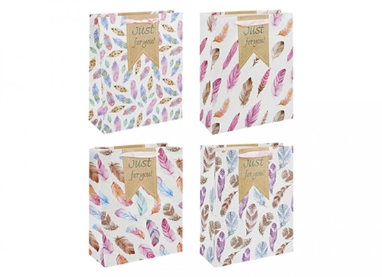 Picture of £0.99 GIFT BAG FEATHERS DESIGN MED(12)