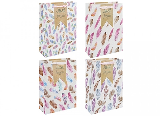 Picture of £1.29 GIFT BAG FEATHERS DESIGN LARGE