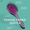 Picture of £12.50 D93 DENMAN GENTLE TANGLE TAMER