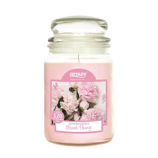 Picture of £4.99 18oz JAR CANDLE BLUSH PEONY