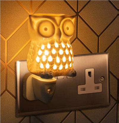 Picture of £9.99 DESIRE AROMA PLUG IN OWL