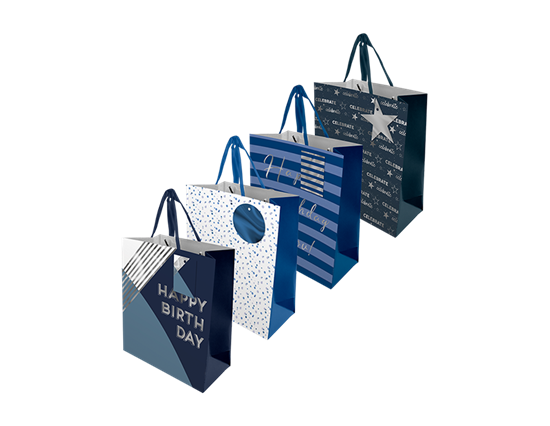 Picture of £0.99 MENS ASSORTED MEDIUM GIFT BAGS