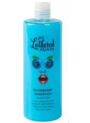 Picture of £1.00 POSSIBILITY 200ml SHAMPOO BLUEBERR