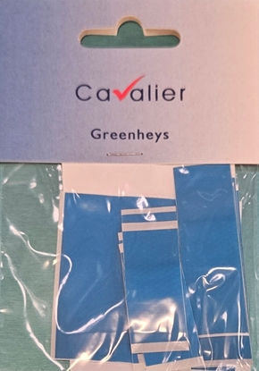 Picture of £1.00 CAVALIER ASSTD CUT BLUE PLASTERS