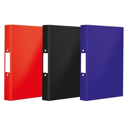 Picture of A4 RING BINDERS 3 COLOURS