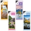 Picture of £1.00 CALENDARS 4 ASSTD SCENIC 2026